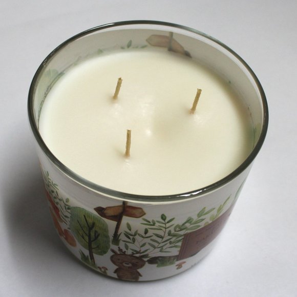 Fall Farmhouse Spice Cypress Amber Soy Blend Scented 14 oz Candle With Lid - Picture 7 of 10